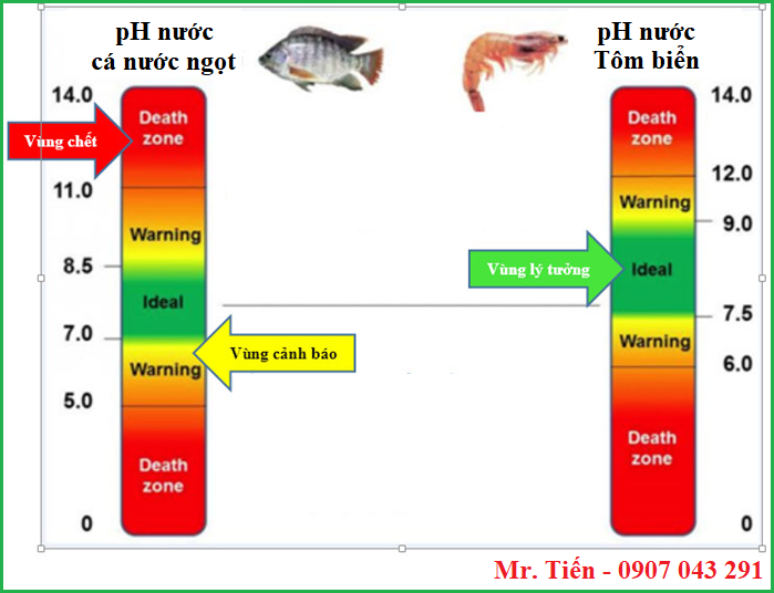 Ảnh hưởng của độ pH nước đến tôm cá