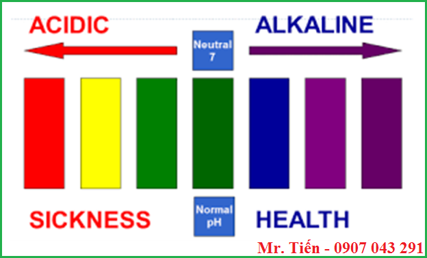 Cân bằng độ pH trong cơ thể người