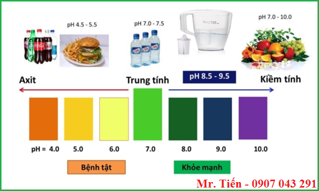 Lựa chọn thực phẩm giúp cân bằng độ pH trong cơ thể người