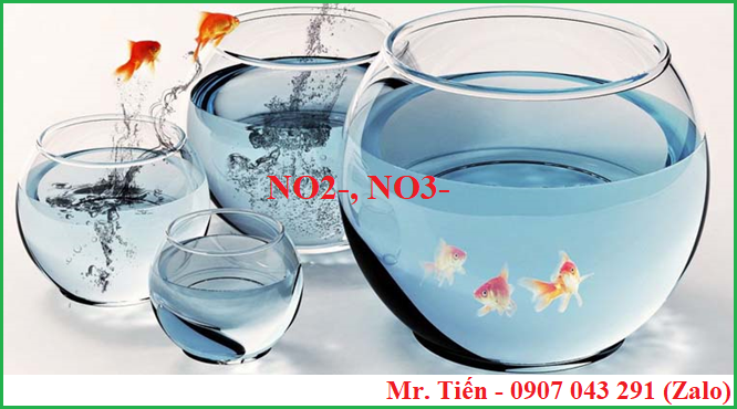 Ảnh hưởng của nồng độ Nitrit Nitrat trong nước đến sức khỏe con người và tôm cá