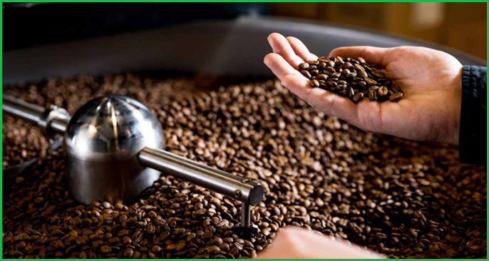Kiểm soát chất lượng màu và mức độ rang ngành cà phê Kiểm soát chất lượng màu và mức độ rang ngành cà phê