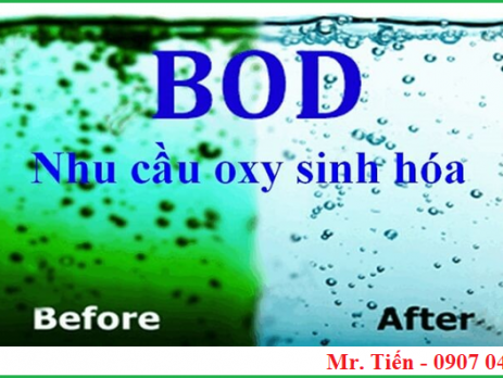 Nhu cầu Oxy sinh hóa (Biochemical Oxygen Demand: BOD)