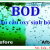 Nhu cầu Oxy sinh hóa (Biochemical Oxygen Demand: BOD)
