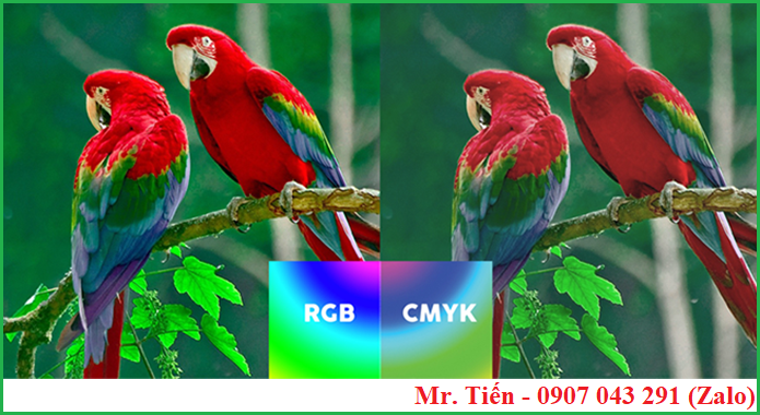 Sự khác biệt màu của hình ảnh giữa hệ màu RGB và CMYK