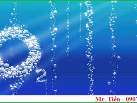 Tìm hiểu về nồng độ Oxy hòa tan trong nước DO (Dissolved Oxygen)